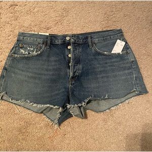 New Agolde Parker Vintage cutoff shorts